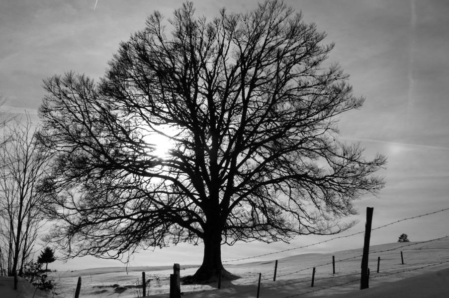 Noir et blanc