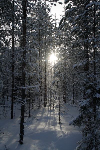 Espaces naturels