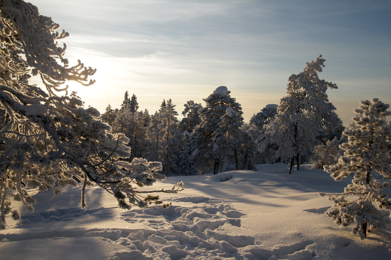 Espaces naturels