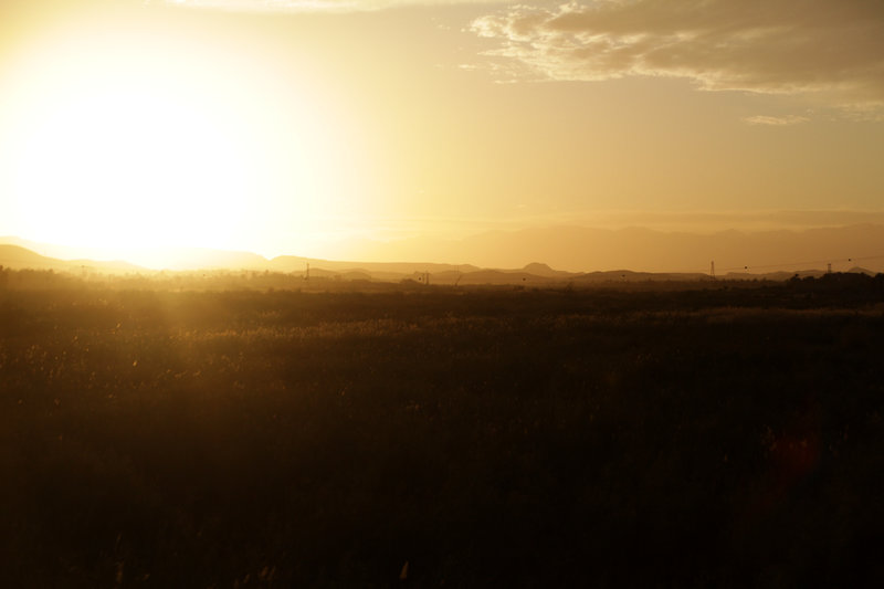 Paysages ruraux