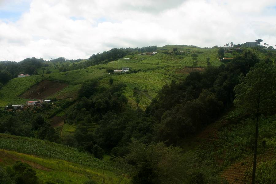 Paysages ruraux