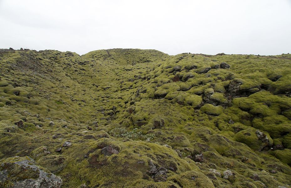 Espaces naturels