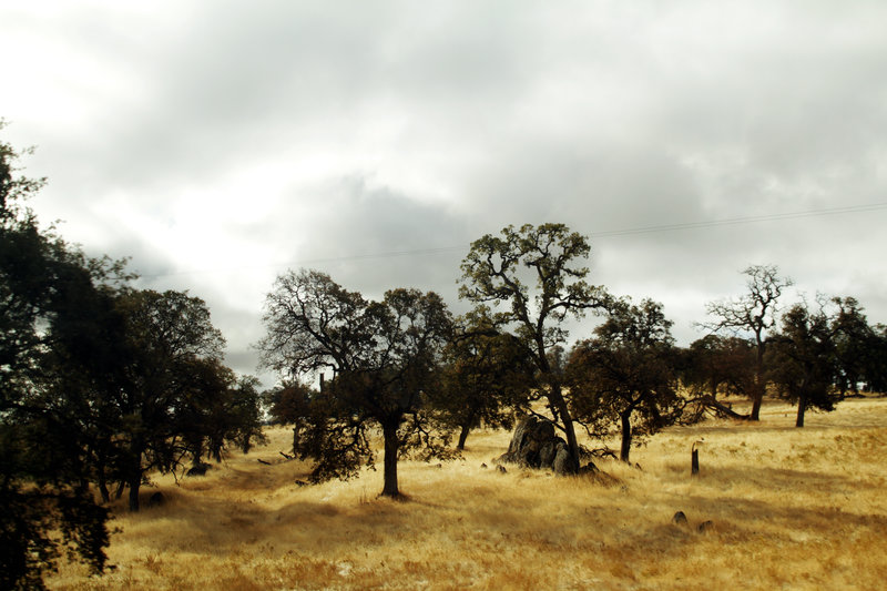 Paysages ruraux