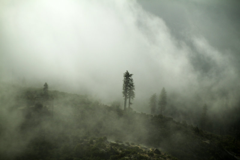 Espaces naturels