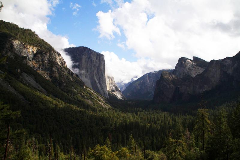 Le parc du Yosemite