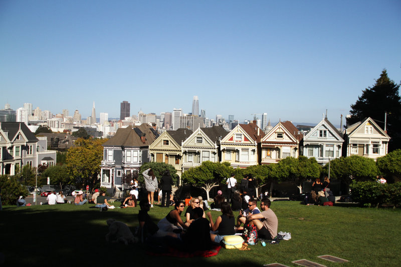 Les fameuses Painted Ladies
