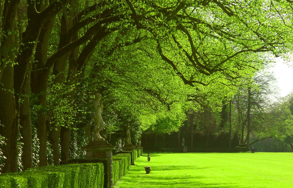 Paysages ruraux